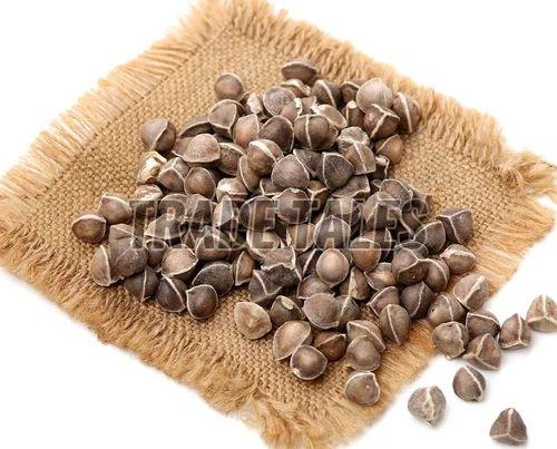 moringa seeds