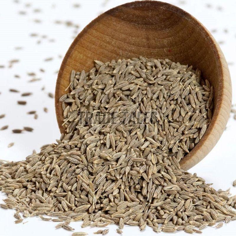 cumin seeds
