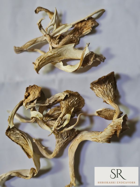 Sun Dried Oyster Mushrooms