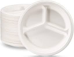 9 Inch 3cp Bagasse Disposable Plate