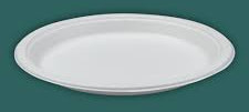 Areca Leaf Plain 9 Inch Round Plate For Serving Food