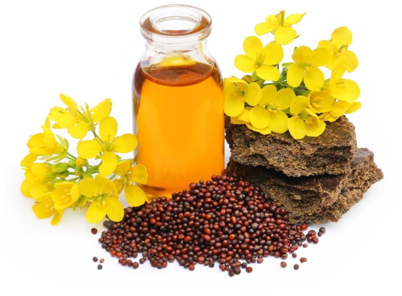 Black Mustard Seeds Oil