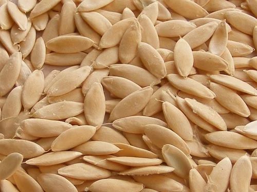 Cucumber Seeds, Packaging Size : 5-25kg