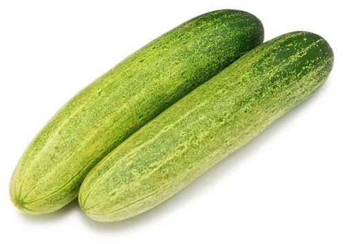 A Grade Cucumber