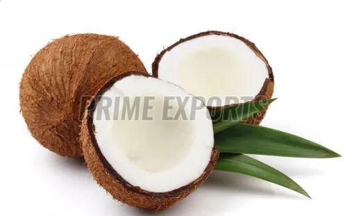 Hard Whole Natural Coconut, Color : Brown, Packaging Size : 50-100kg