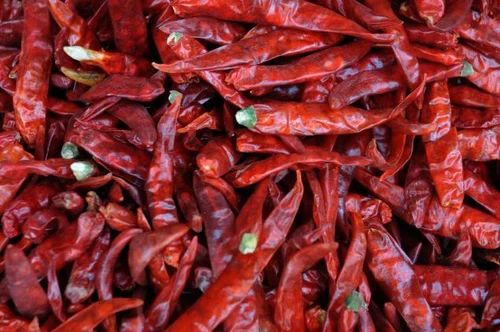 Natural Dry Red Chilli, Grade Standard : Food Grade for Cooking Use