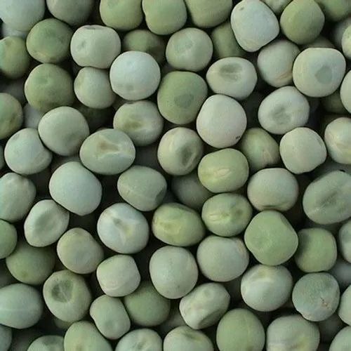 M7 Green Pea Seed