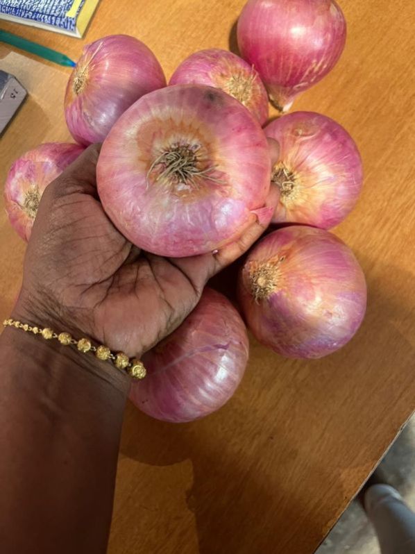 Nashik Onion