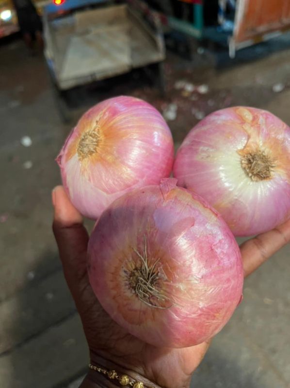 Nashik Onion