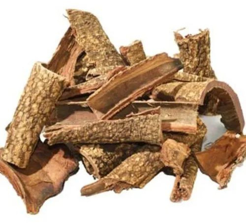 Babool Chaal, Color : Brown for Use Herbal Medicine