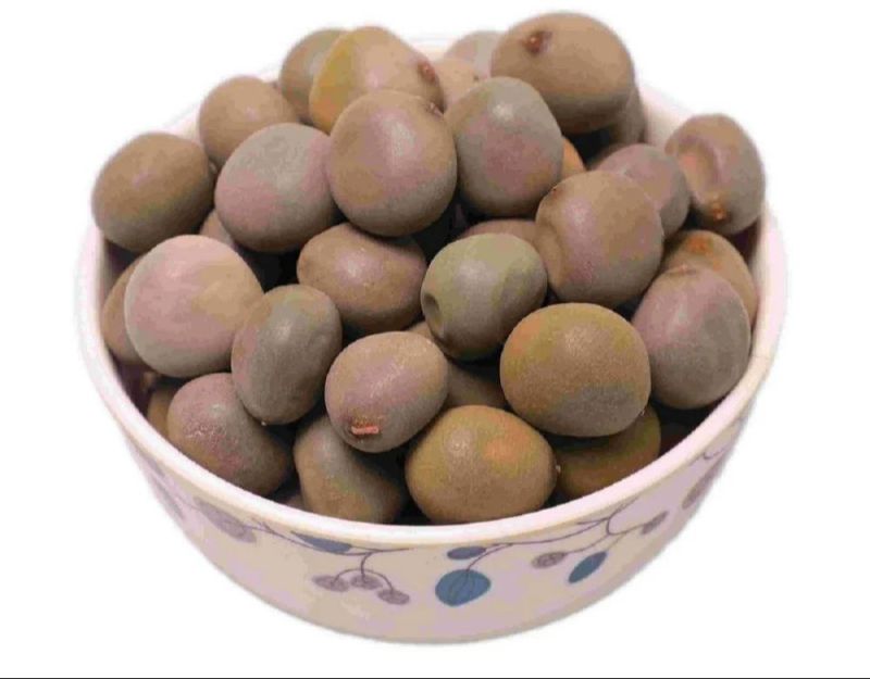 Gataran Seed Kachaka