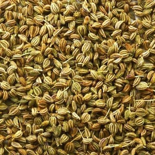 Natural Carom Seed, Grade Standard : Food Grade
