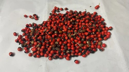 Natural Red Rosary Pea, Grade : Medicinal Grade