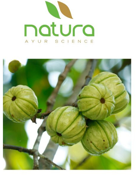 Natura Ayur Garcinia Extract Powder