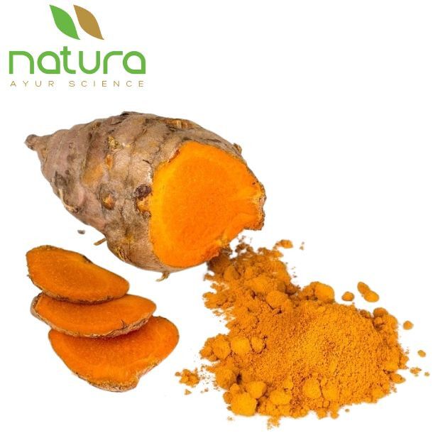 Natura Ayur Turmeric Extract Powder