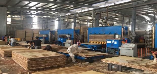 Plywood Cold Press Machine