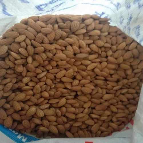 Brown Dried California Almond Nut