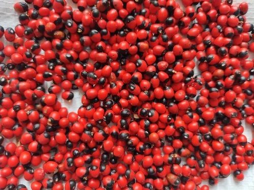 Red Rosary Pea Chirmati