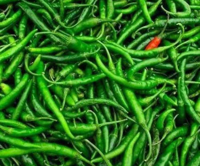 Fresh Green Chili