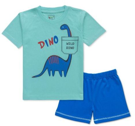 Boys T-Shirt And Shorts In Green And Blue