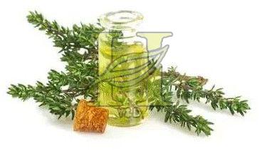 Thyme Oil, Color : Light Yellow, Purity : 99%, Form : Liquid