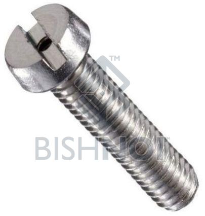 Slotted Cheese Head Screws