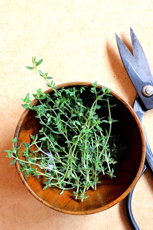 Fresh Thyme