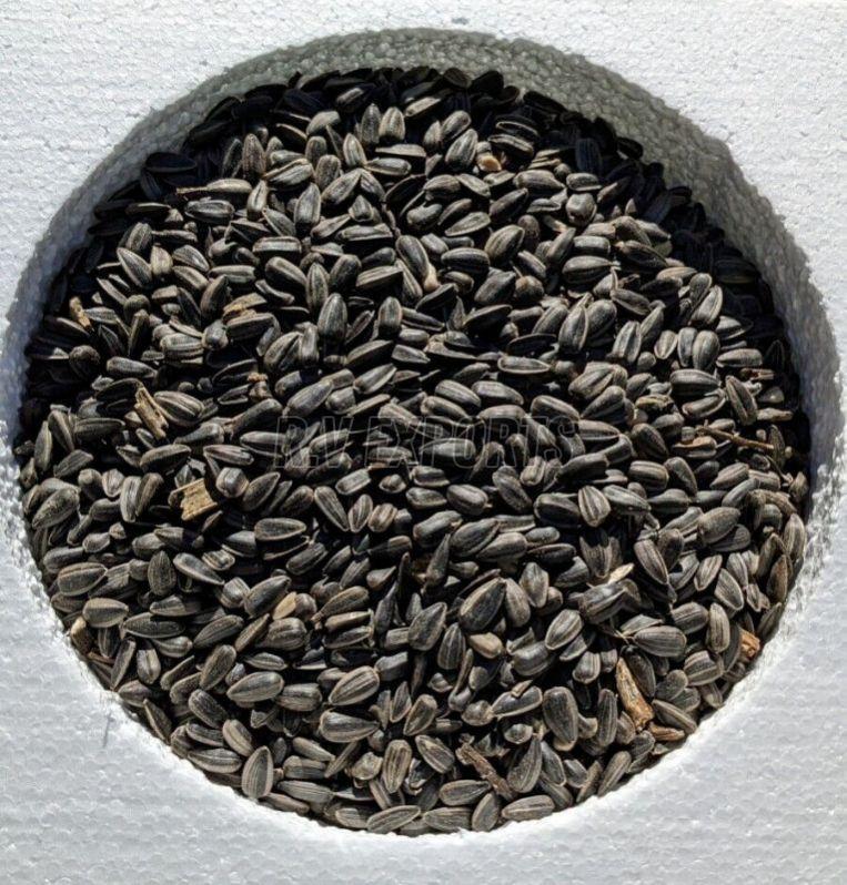 black sunflower seeds