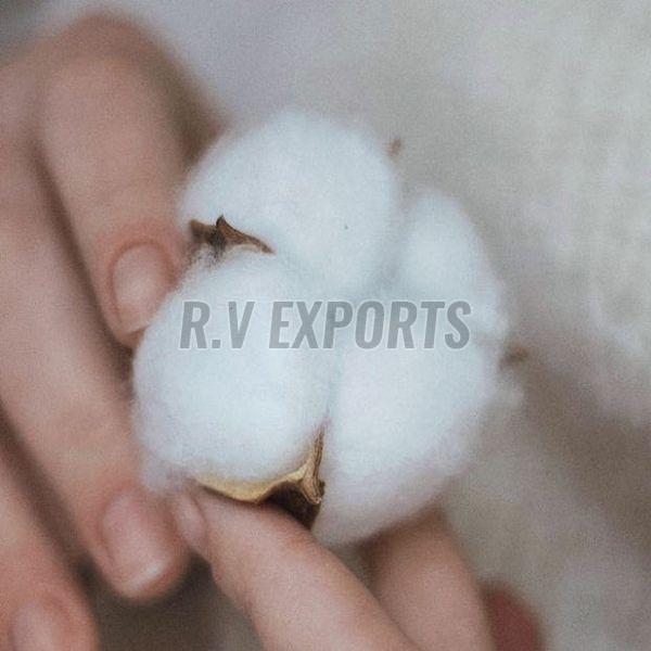 Toy Stuffing Raw Cotton