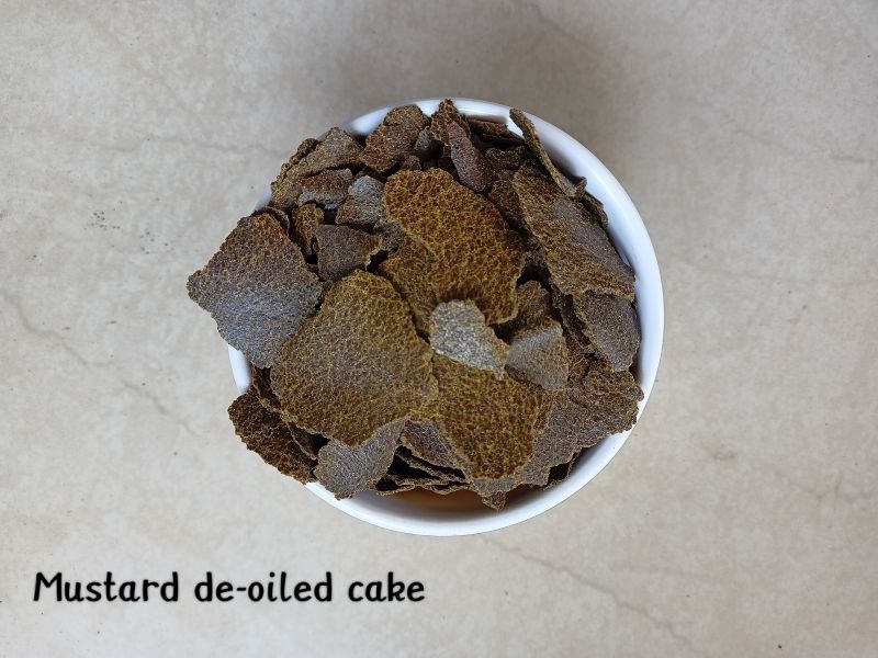 Mustard De Oiled Cake