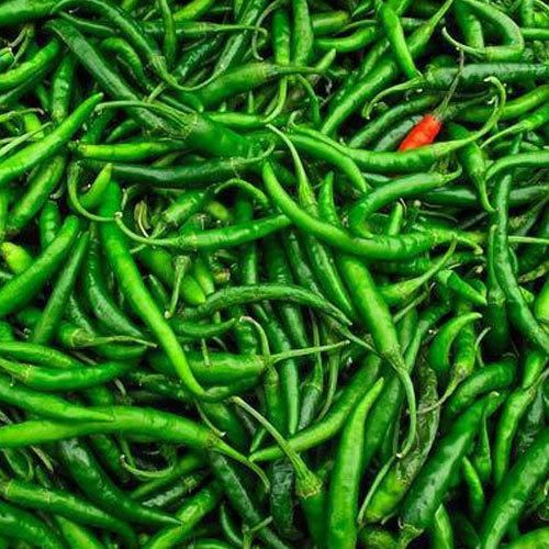 Organic Green Chillies, Packaging Size : 50Kg