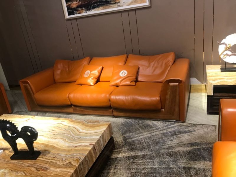Leather Brown Cushion Designer Sofa