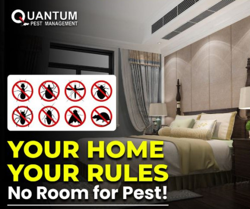 Best Pest Control Coimbatore
