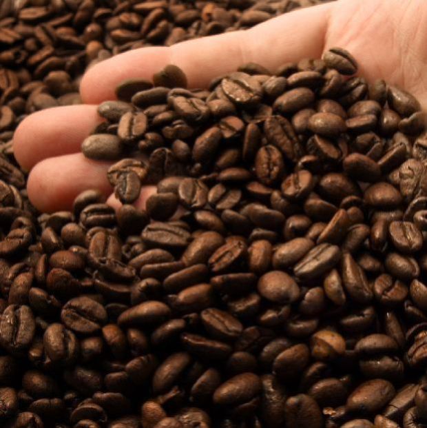 Roasted Arabica Coffee Beans