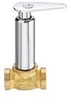 Hector Concealed Valve