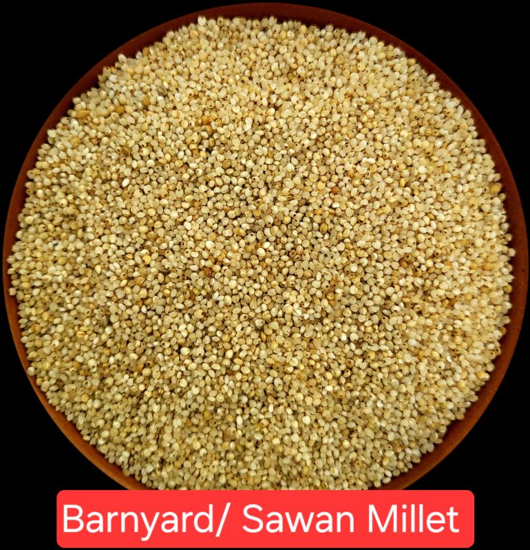 Unpolished Barnyard Millet