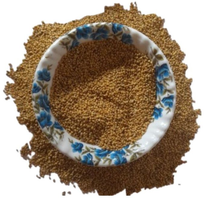 Foxtail Millet for Birds Food