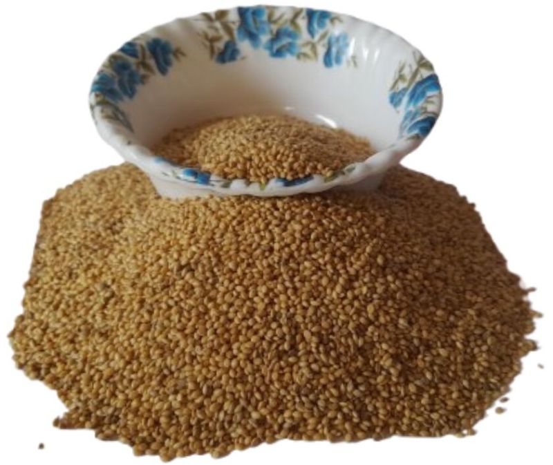 Foxtail Millet for Birds Food