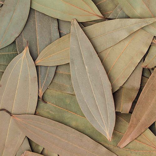 Natural Dry Bay Leaves, Grade Standard : Food Grade for Cooking