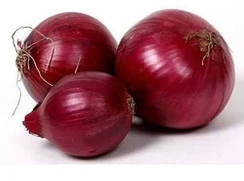 Natural Fresh Red Onion, Packaging Size : 20 Kg for Cooking