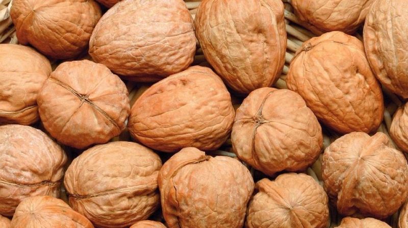 Natural Dried Walnuts