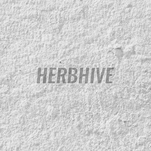 Mexoryl SX XL Broad Spectrum Protection Powder