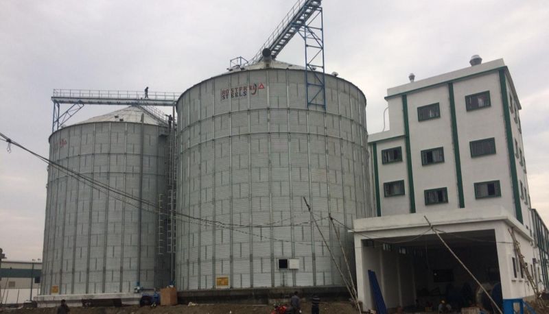 Flat Bottom Silos