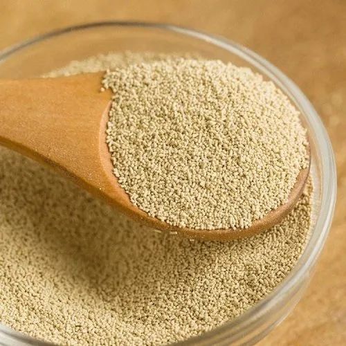 Dry Yeast