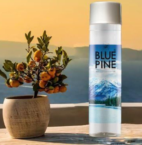 BLUEPINE Blue Pine Fine Artesian Water Natural Mineral Water 500 Ml Pack Of - 20