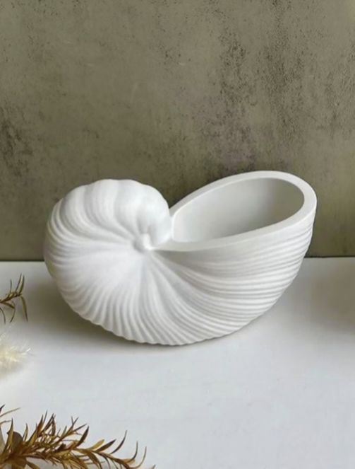 Snail Shell Concrete Jar