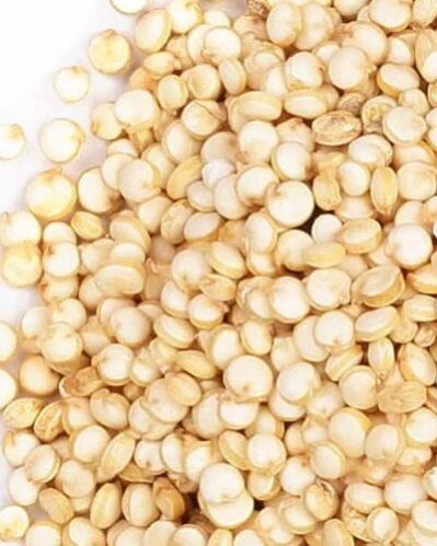 Indian Processed Quinoa Seeds, Color : White, Red For Gluten-free