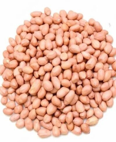 Peanut Java, Packaging Type : Jute Bag, PP Bag, Vacuum, Box