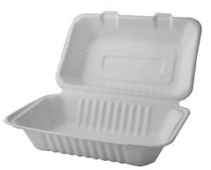 White 9 X 6-inch Biodegradable Clamshell Box