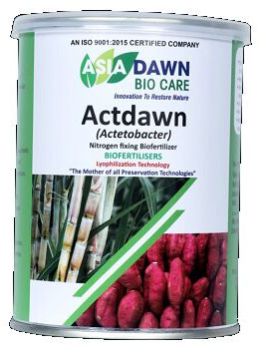 NITROGEN FIXATIVE BIO FERTILIZER ACETOBACTER – ACTDAWN